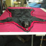 black bear rug 2