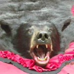 black bear rug
