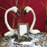swan mount